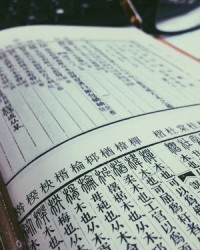 木怎么组词眼睛木
