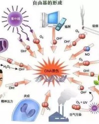 肝脏涨怎么组词