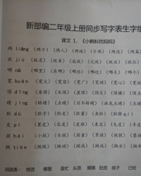 传字怎么组词