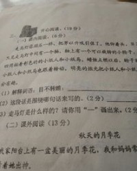 目不转睛木怎么组词