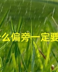 易加偏旁再组词(易加偏旁组词是什么)