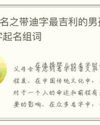 迪组词拼音(迪组词语读音)