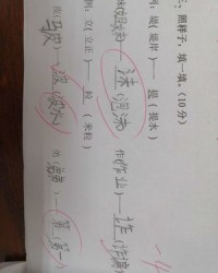 第加偏旁组词(交加偏旁和果组词语)