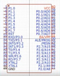 时的组词有哪些(的组词有哪些二年级)