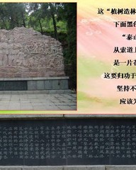 境组词语(境组词语有哪些词语和拼音怎么写)
