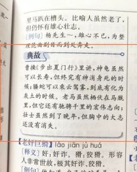 同偏旁组词(同偏旁组词的成语)