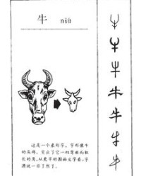 钮扣的钮牛怎么组词