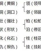 似字怎么组词