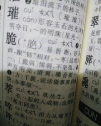 粟怎么读组词