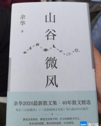 风的山怎么组词