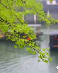 谙的组词(谙的组词和成语)