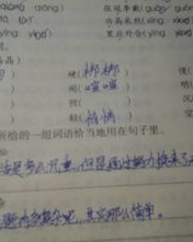 仔细子怎么组词