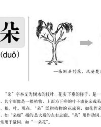 朵耳朵的朵怎么组词