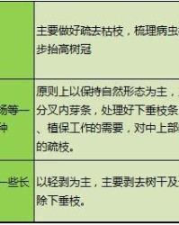 牙芦芽的芽怎么组词