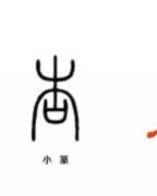 去杏怎么组词