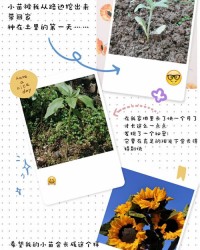 植物的睛怎么组词
