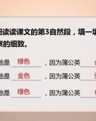 叁多音字组词(叁多音字组词语)