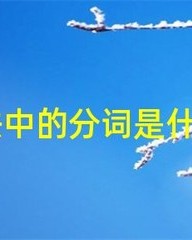 键字组词(键字组词和拼音)