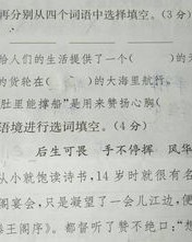 择的组词