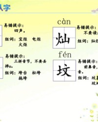 把四声组词(四声的字组什么词)