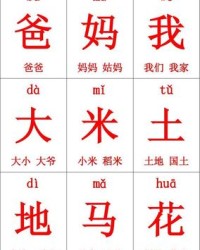 地组词组词(地组词组词语有哪些)