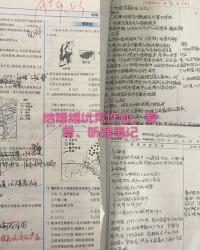 妙组词有哪些(妙组词组什么)