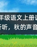 停止听怎么组词