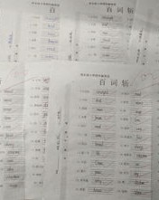 焦组词语(焦的组词和意思)