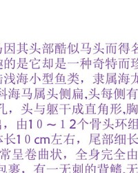 属组词语(属组词成语)