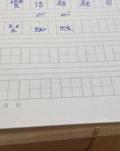 蜘怎么组词两个字