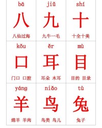 鸽字组词