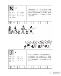 蝶怎么组词