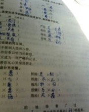 拥挤可以怎么组词呢