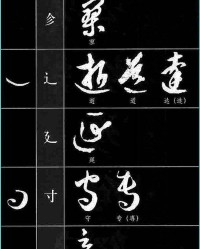 专字加偏旁组词(专字加偏旁并组词)