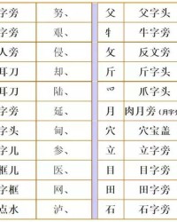 夹换偏旁组词(夹换偏旁组词语有哪些)