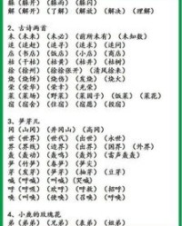 率领还能怎么组词