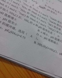 b栋的栋怎么组词