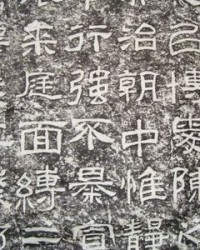 庭换偏旁组词(庭换偏旁组新字)