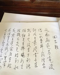 陈组词(陈组词二年级上册)