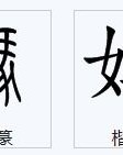 放的啥怎么组词