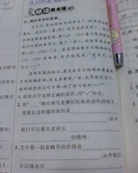 稚组词怎么写