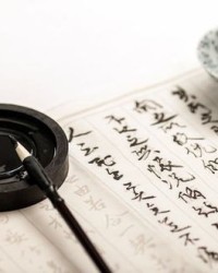 质字可以怎么组词呢