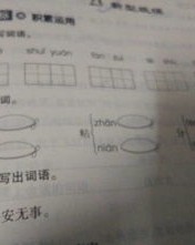 他们的他怎么组词怎么写