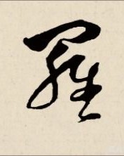 罗字怎么写呀怎么组词