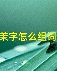 紫怎么组词(紫怎么组词和拼音)
