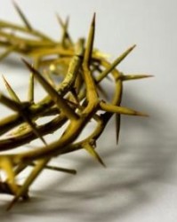 荆棘的荆荆怎么组词