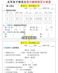 小入怎么组词