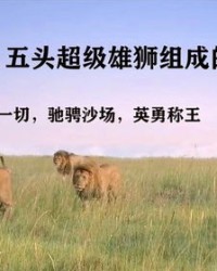 狮子的狮怎么组词