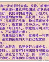 小度今怎么组词