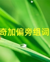 奇加偏旁再组词(奇加偏旁组词组字)